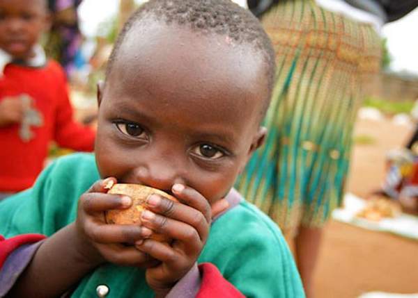 Gates Foundation. Today, the orange-fleshed sweet potato is safeguarding children’s sight and improving the health and income of families in communities across Uganda, Mozambique, and other countries in Africa where the sweet potato is a mainstay of diets. One study showed that vitamin A intake among young children doubled in households that received the vines and grew these new varieties.